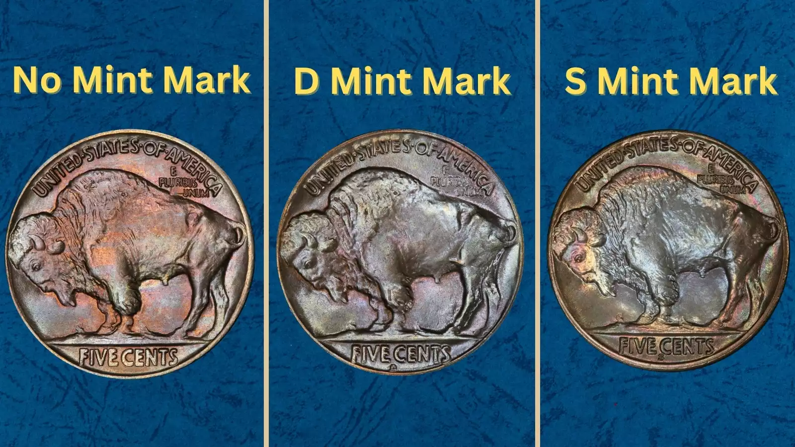 Group of 1925 Buffalo Nickels from Philadelphia, Denver, and San Francisco mints showing all three mint mark varieties