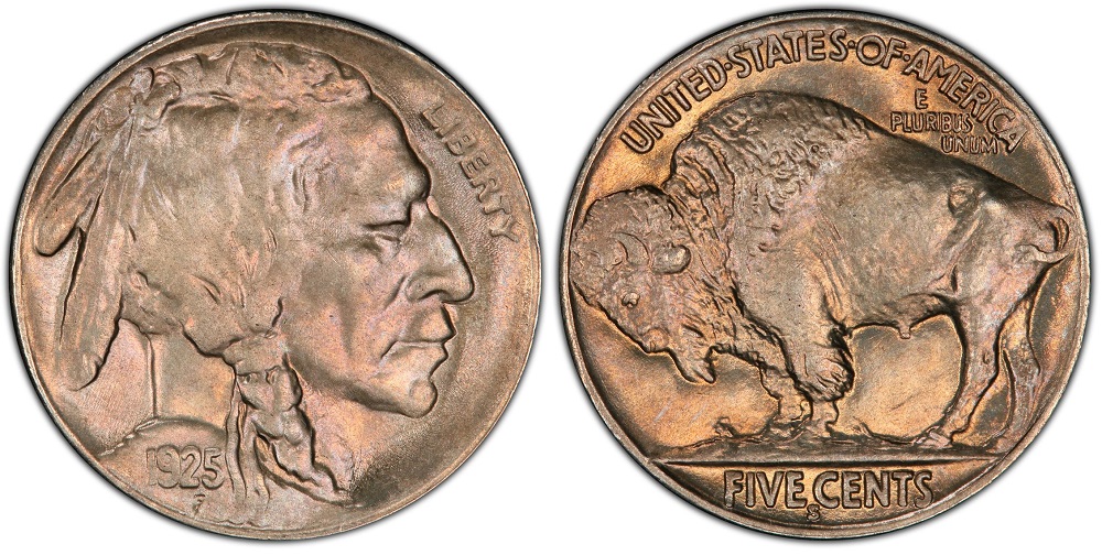 1925 Buffalo Nickel grading strip showing four condition tiers from Good (heavily worn) to Mint State (uncirculated)